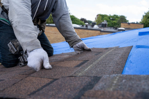 Best Commercial Roofing Services  in La Feria, TX