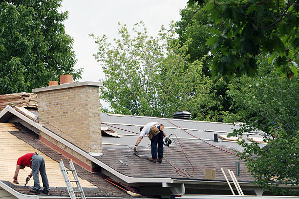 Best Roof Gutter Cleaning  in La Feria, TX