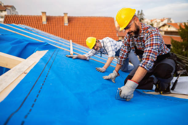 Best Residential Roof Replacement  in La Feria, TX