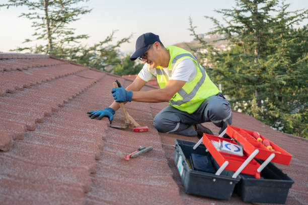 Best Roofing Contractor Near Me  in La Feria, TX