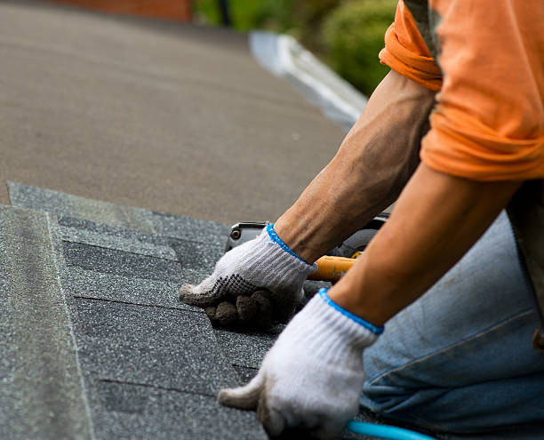 Best Tile Roofing Contractor  in La Feria, TX